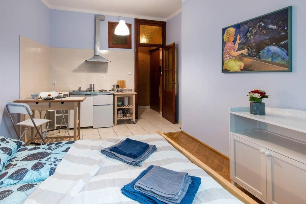 Peaceful And Relaxing Studio In The Center Apartment คราคูฟ ภายนอก รูปภาพ
